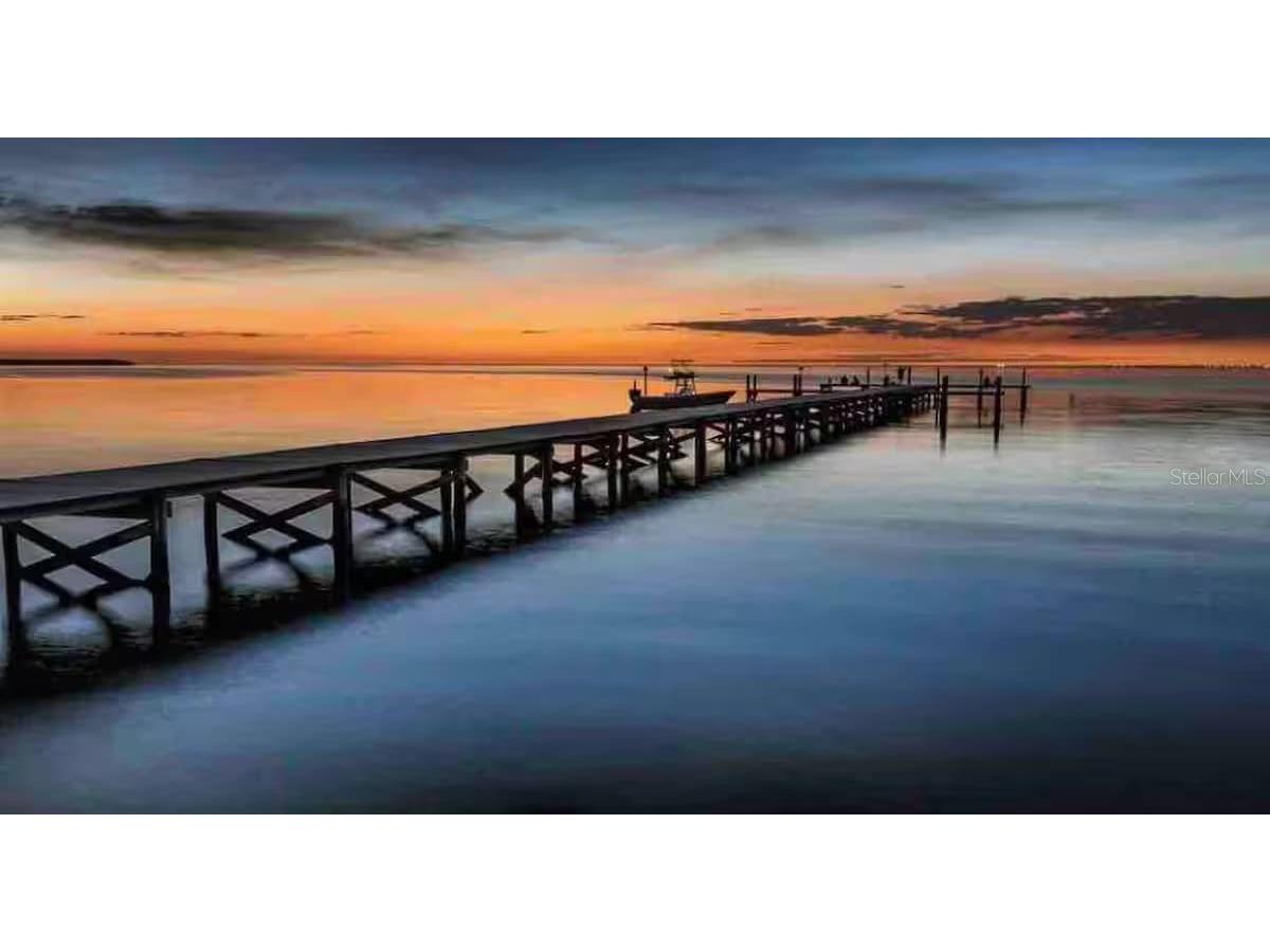 611 Destiny Drive #101 Ruskin FL 33570 TB8480022 image13