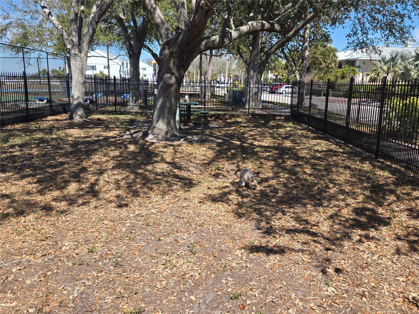 611 Destiny Drive #101 Ruskin FL 33570 TB8480022 image17