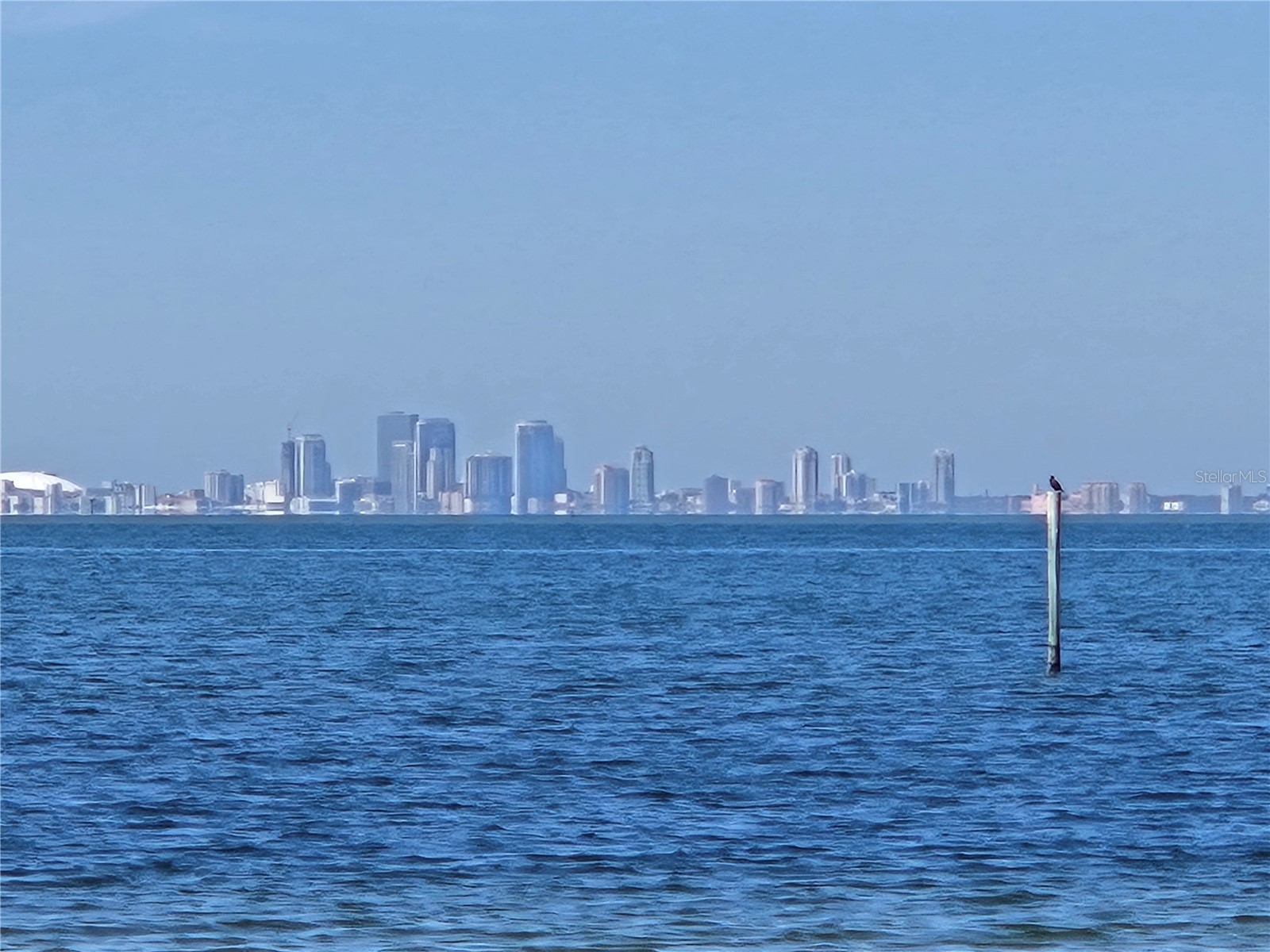 611 Destiny Drive #101 Ruskin FL 33570 TB8480022 image20