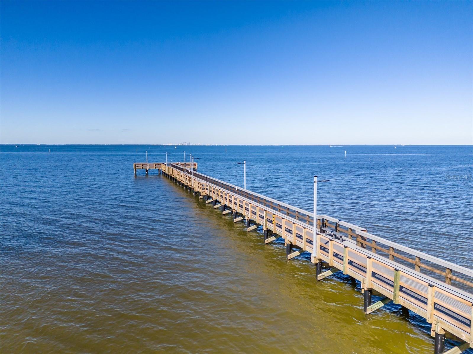 611 Destiny Drive #101 Ruskin FL 33570 TB8480022 image41