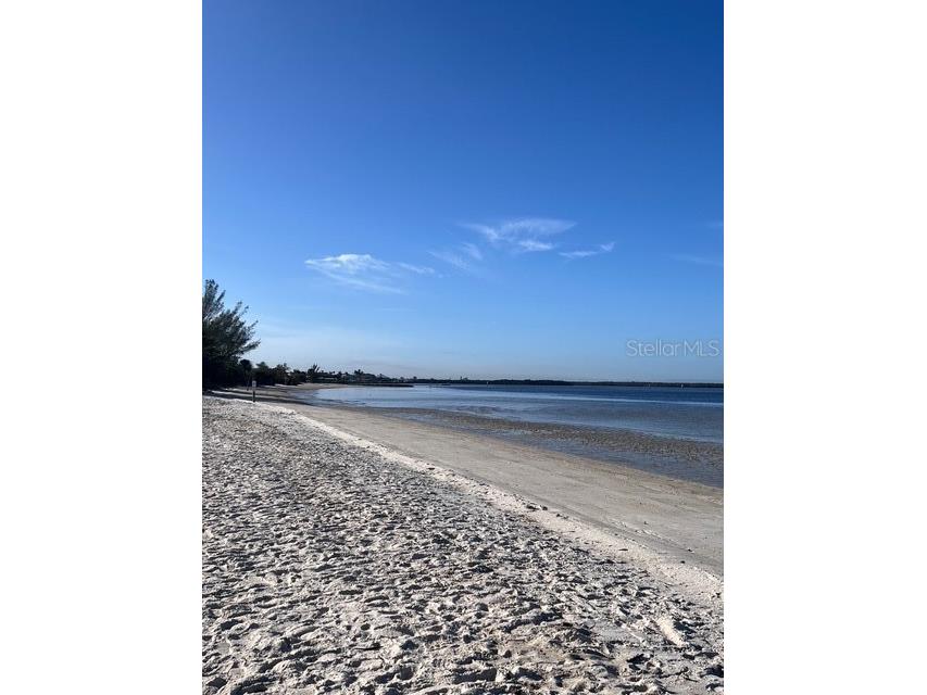 611 Destiny Drive #115 Ruskin FL 33570 S5146118 image17