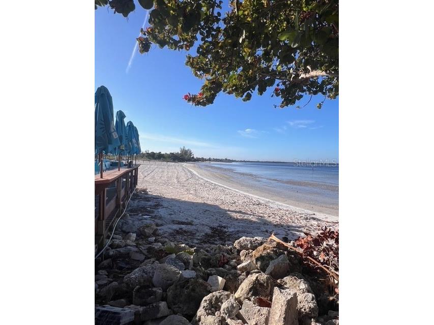 611 Destiny Drive #115 Ruskin FL 33570 S5146118 image19