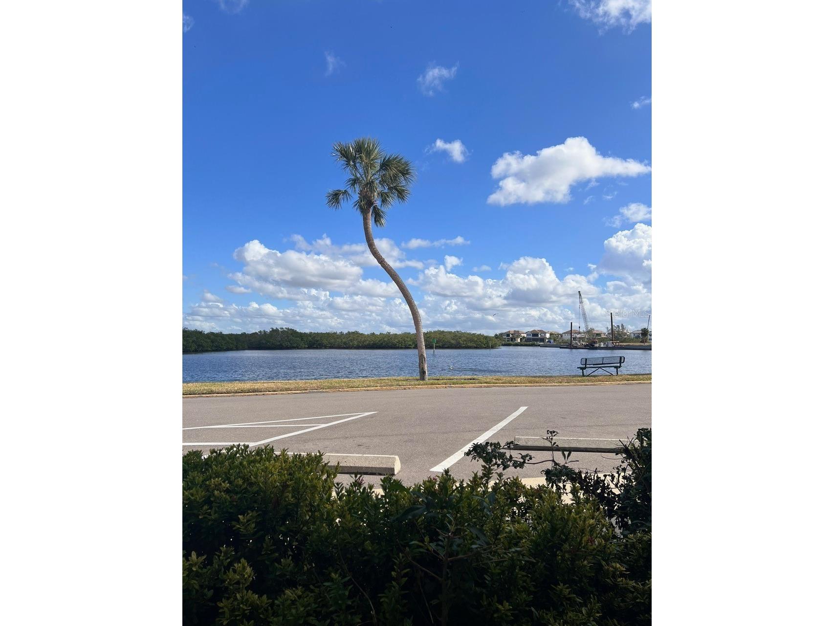 611 Destiny Drive #115 Ruskin FL 33570 S5146118 image2