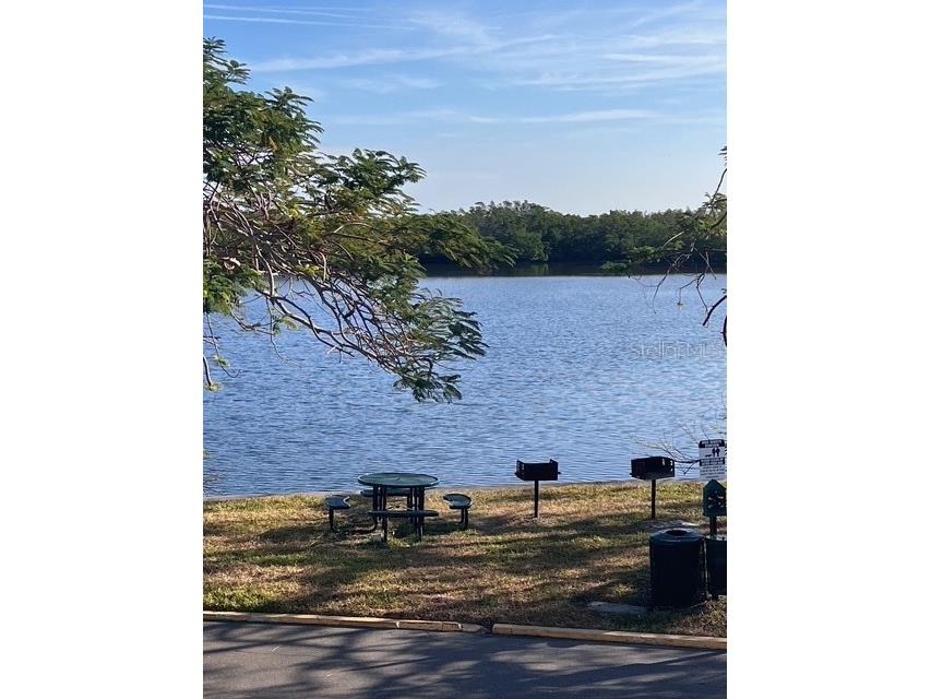 611 Destiny Drive #115 Ruskin FL 33570 S5146118 image21