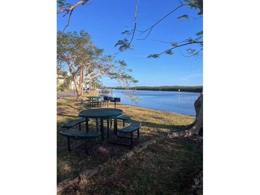 611 Destiny Drive #115 Ruskin FL 33570 S5146118 image25