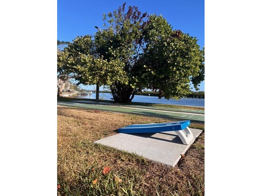 611 Destiny Drive #115 Ruskin FL 33570 S5146118 image26