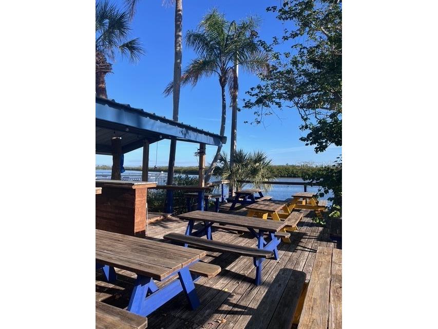 611 Destiny Drive #115 Ruskin FL 33570 S5146118 image27