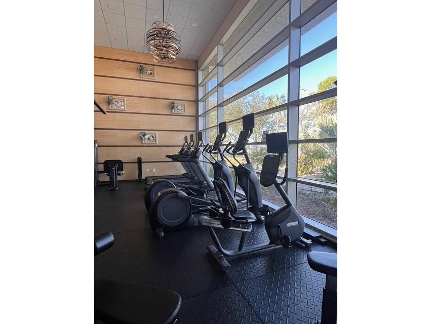 611 Destiny Drive #115 Ruskin FL 33570 S5146118 image28