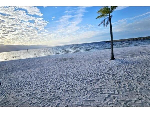 611 Destiny Drive #116 Ruskin FL 33570 TB8435786 image15