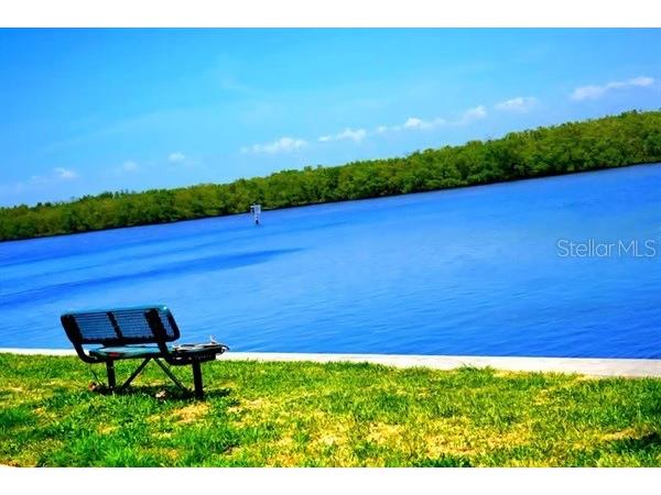 611 Destiny Drive #116 Ruskin FL 33570 TB8435786 image20