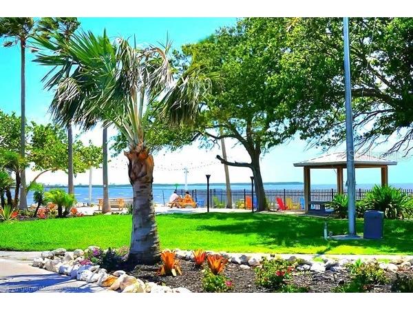 611 Destiny Drive #116 Ruskin FL 33570 TB8435786 image25