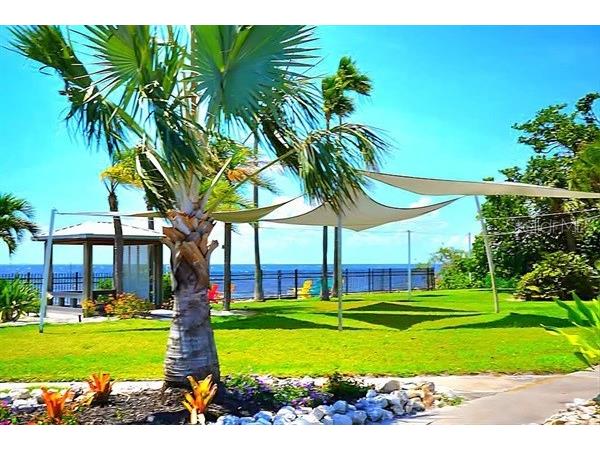 611 Destiny Drive #116 Ruskin FL 33570 TB8435786 image26