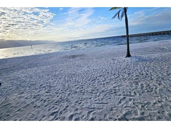 611 Destiny Drive #116 Ruskin FL 33570 TB8435786 image30