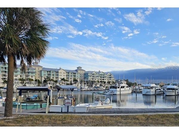 611 Destiny Drive #116 Ruskin FL 33570 TB8435786 image31