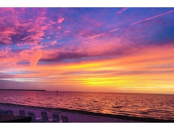 611 Destiny Drive #116 Ruskin FL 33570 TB8435786 image32