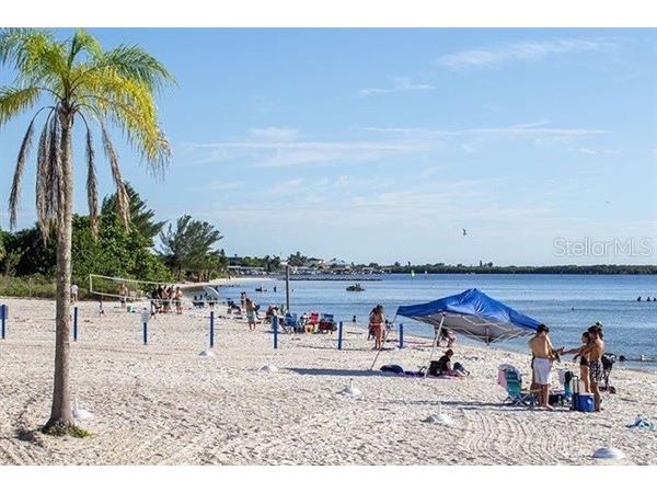 611 Destiny Drive #116 Ruskin FL 33570 TB8435786 image33