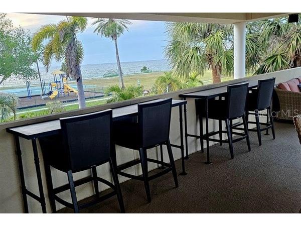 611 Destiny Drive #116 Ruskin FL 33570 TB8435786 image35