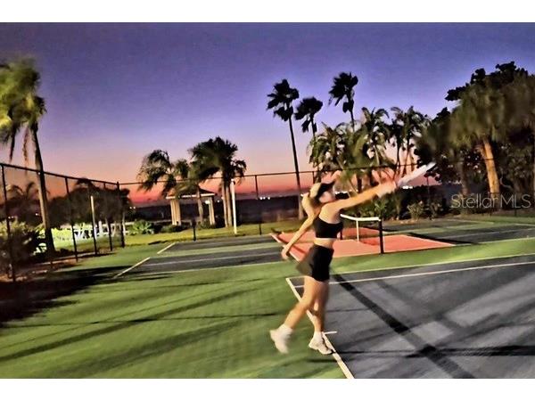 611 Destiny Drive #116 Ruskin FL 33570 TB8435786 image36