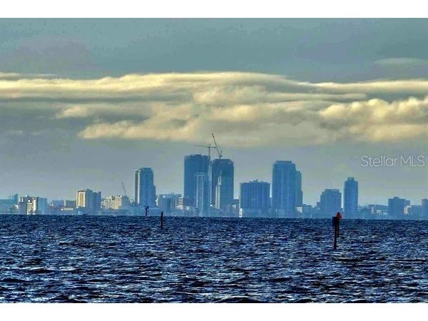 611 Destiny Drive #116 Ruskin FL 33570 TB8435786 image39