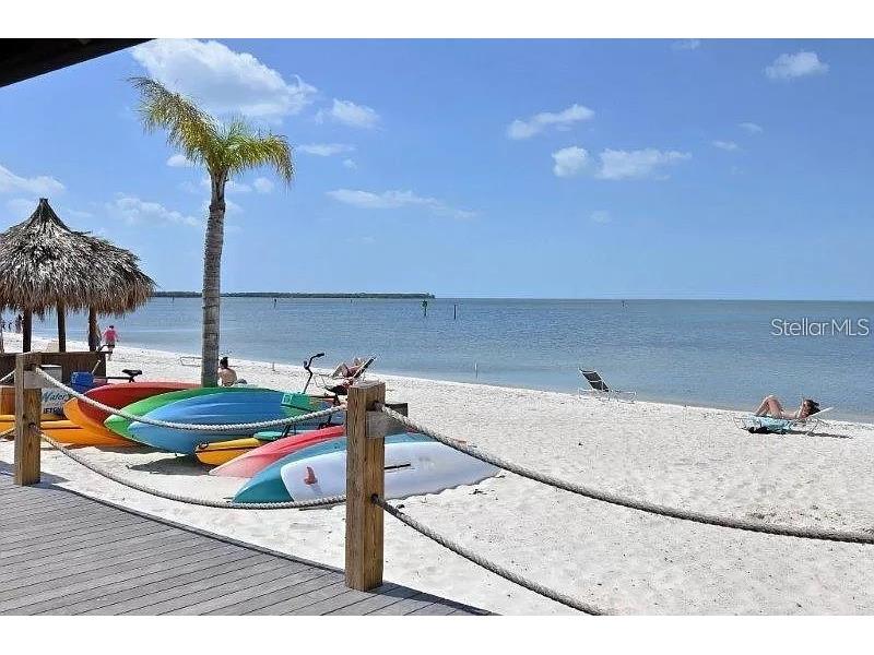 611 Destiny Drive #116 Ruskin FL 33570 TB8435786 image44