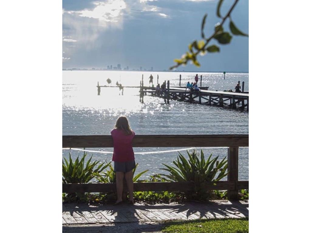 611 Destiny Drive #116 Ruskin FL 33570 TB8435786 image47