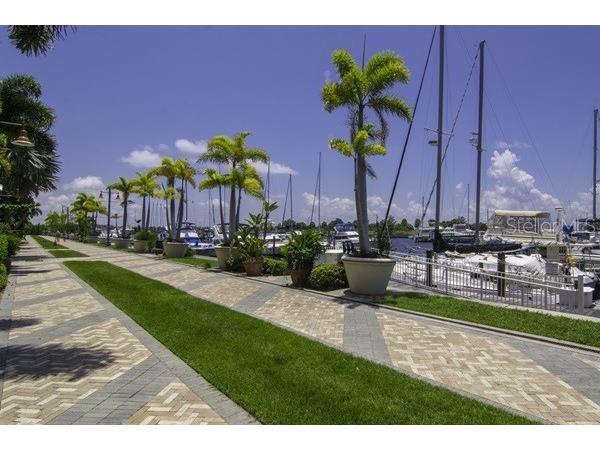 611 Destiny Drive #116 Ruskin FL 33570 TB8435786 image49