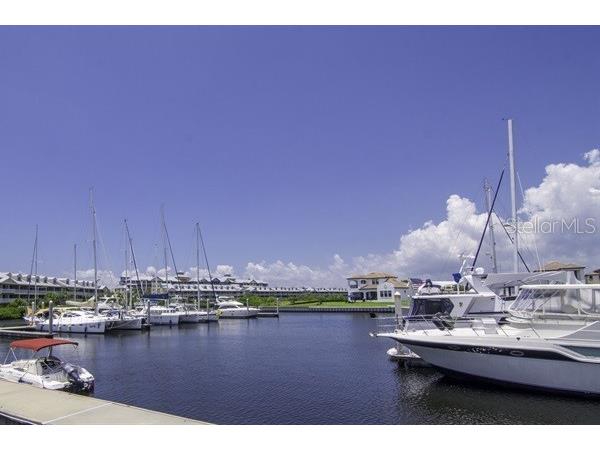 611 Destiny Drive #116 Ruskin FL 33570 TB8435786 image50