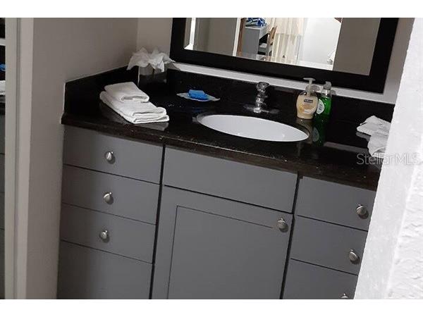 611 Destiny Drive #116 Ruskin FL 33570 TB8435786 image8