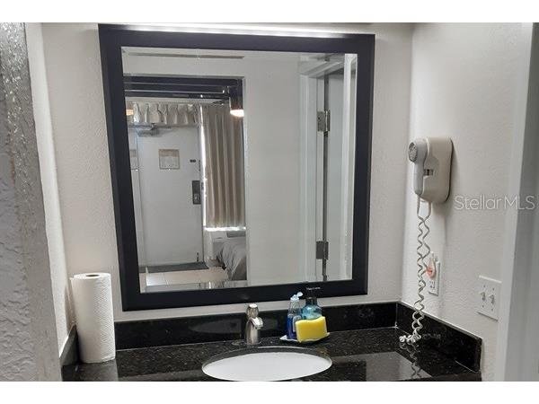 611 Destiny Drive #116 Ruskin FL 33570 TB8435786 image9