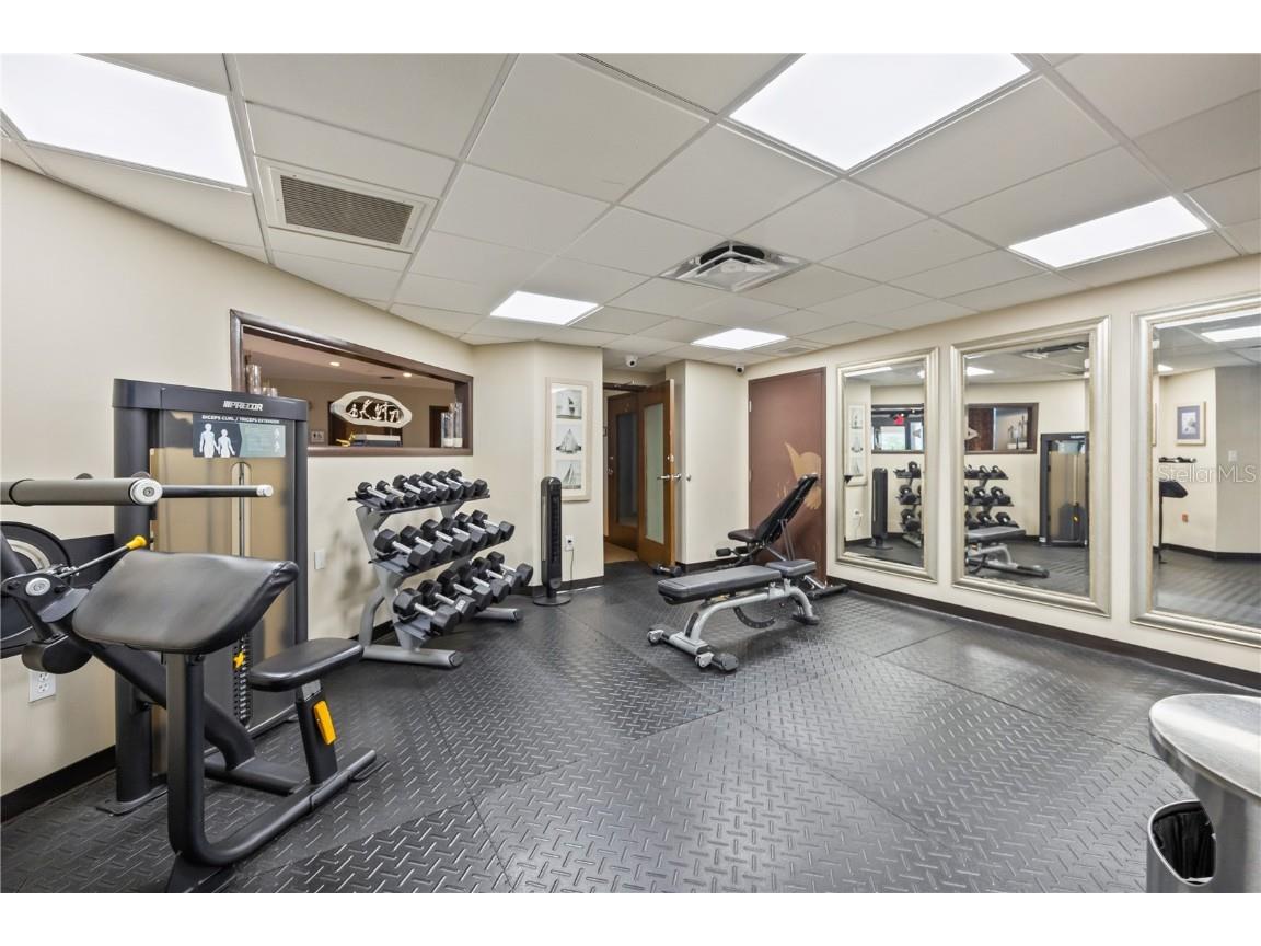 611 Destiny Drive #204 Ruskin FL 33570 TB8389787 image37