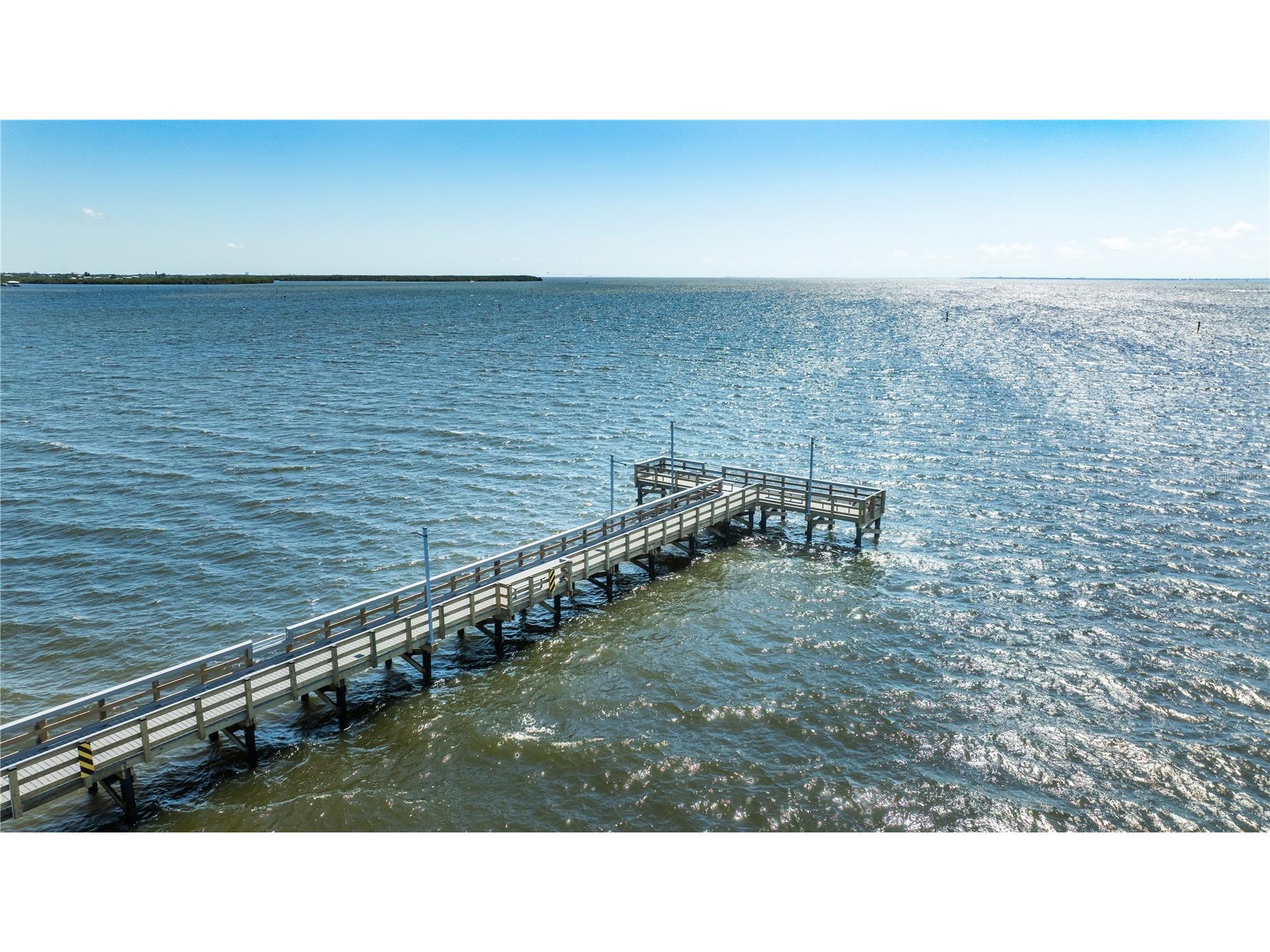 611 Destiny Drive #204 Ruskin FL 33570 TB8516719 image35