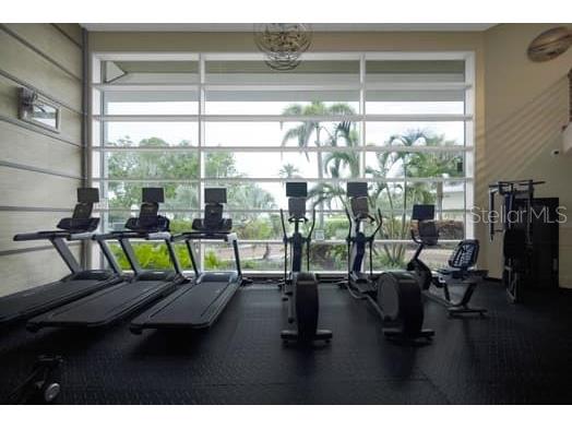 611 Destiny Drive #210 Ruskin FL 33570 TB8393044 image18