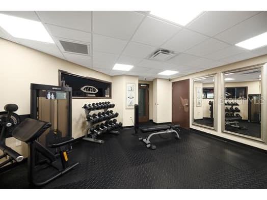 611 Destiny Drive #210 Ruskin FL 33570 TB8393044 image29