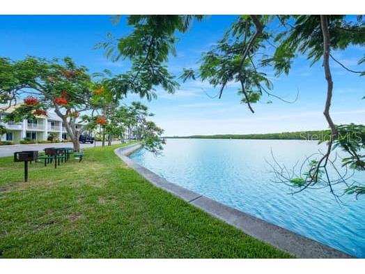 611 Destiny Drive #210 Ruskin FL 33570 TB8393044 image39