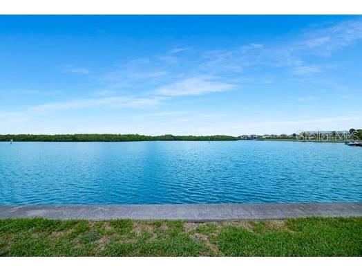 611 Destiny Drive #210 Ruskin FL 33570 TB8393044 image40