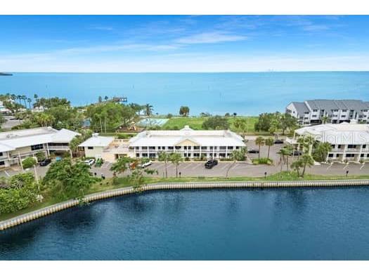 611 Destiny Drive #210 Ruskin FL 33570 TB8393044 image5