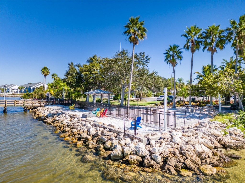 611 Destiny Drive #304 Ruskin FL 33570 TB8443965 image27