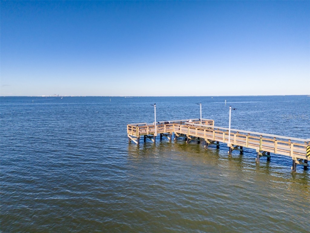 611 Destiny Drive #304 Ruskin FL 33570 TB8443965 image33