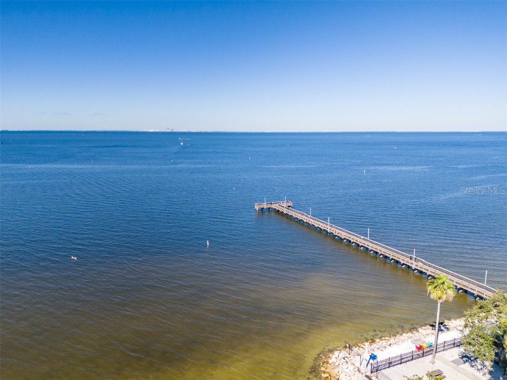 611 Destiny Drive #304 Ruskin FL 33570 TB8443965 image35