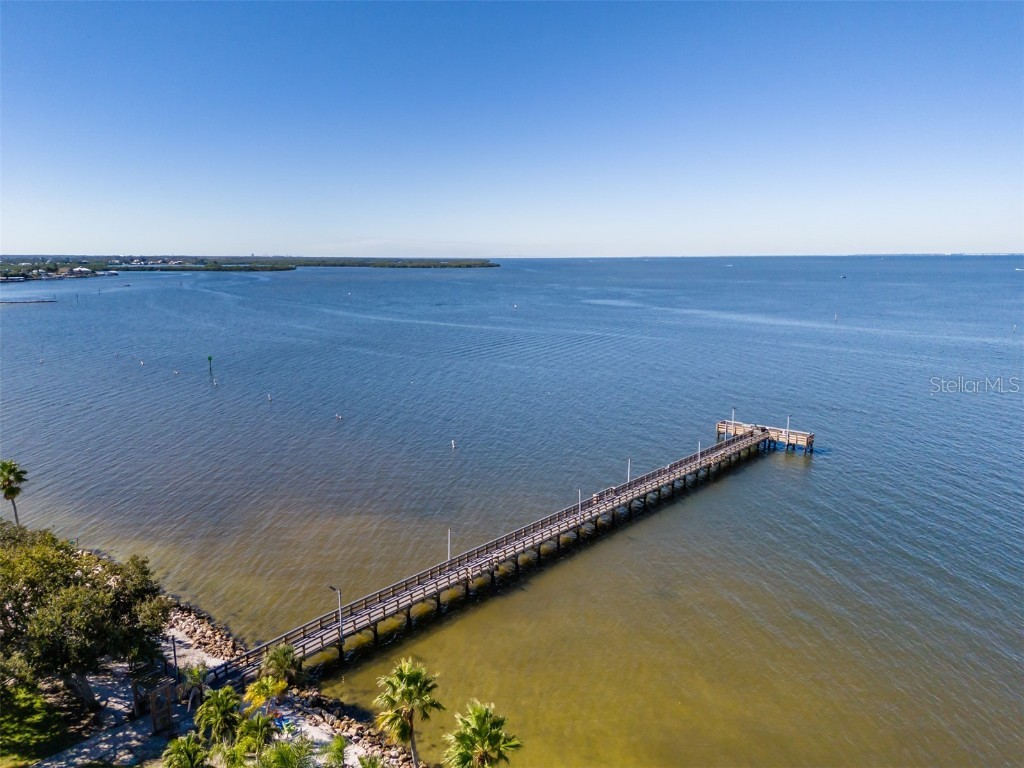 611 Destiny Drive #304 Ruskin FL 33570 TB8443965 image37