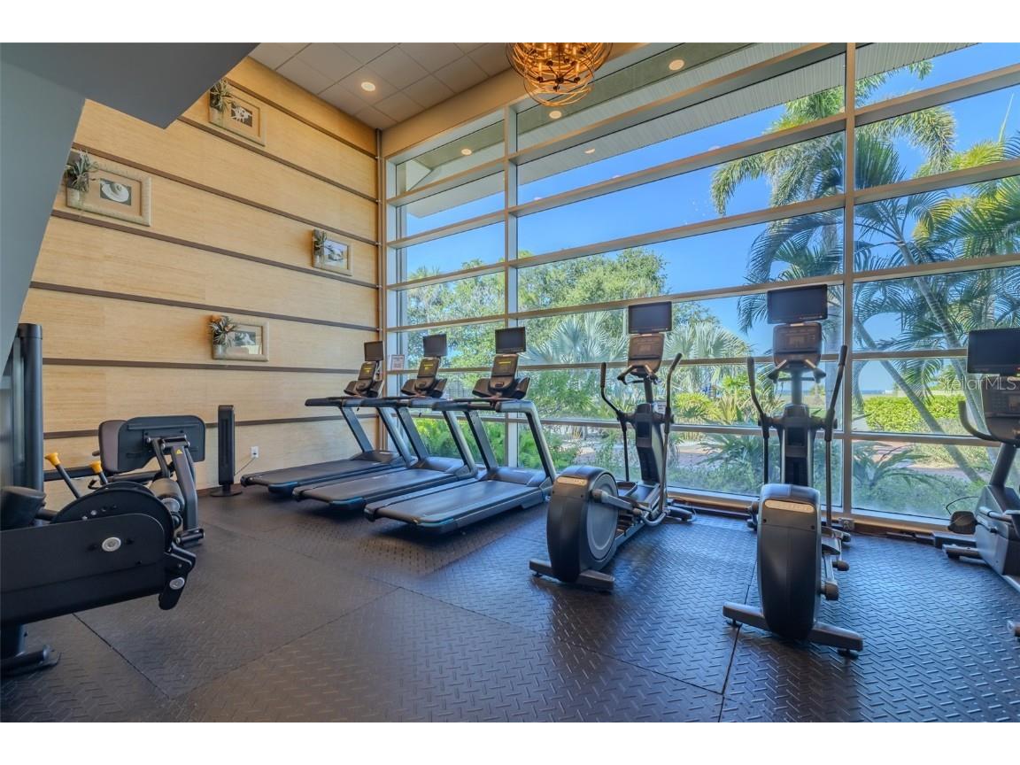 611 Destiny Drive #304 Ruskin FL 33570 TB8443965 image42