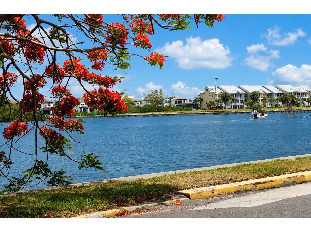 611 Destiny Drive #307 Ruskin FL 33570 TB8508364 image2
