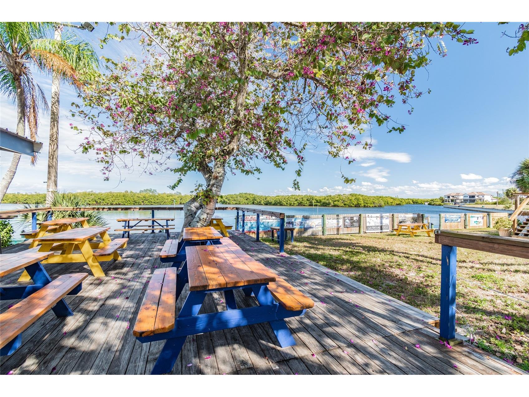 611 Destiny Drive #308 Ruskin FL 33570 TB8485722 image36