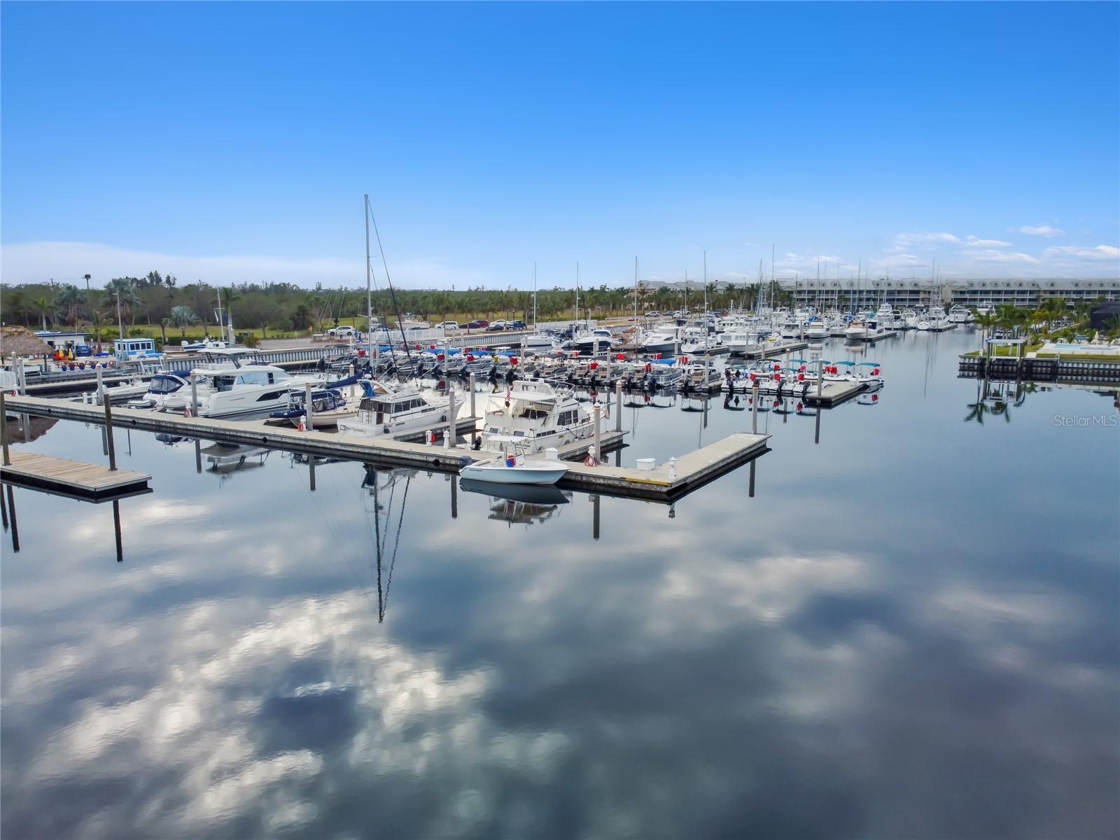 611 Destiny Drive #308 Ruskin FL 33570 TB8485722 image48