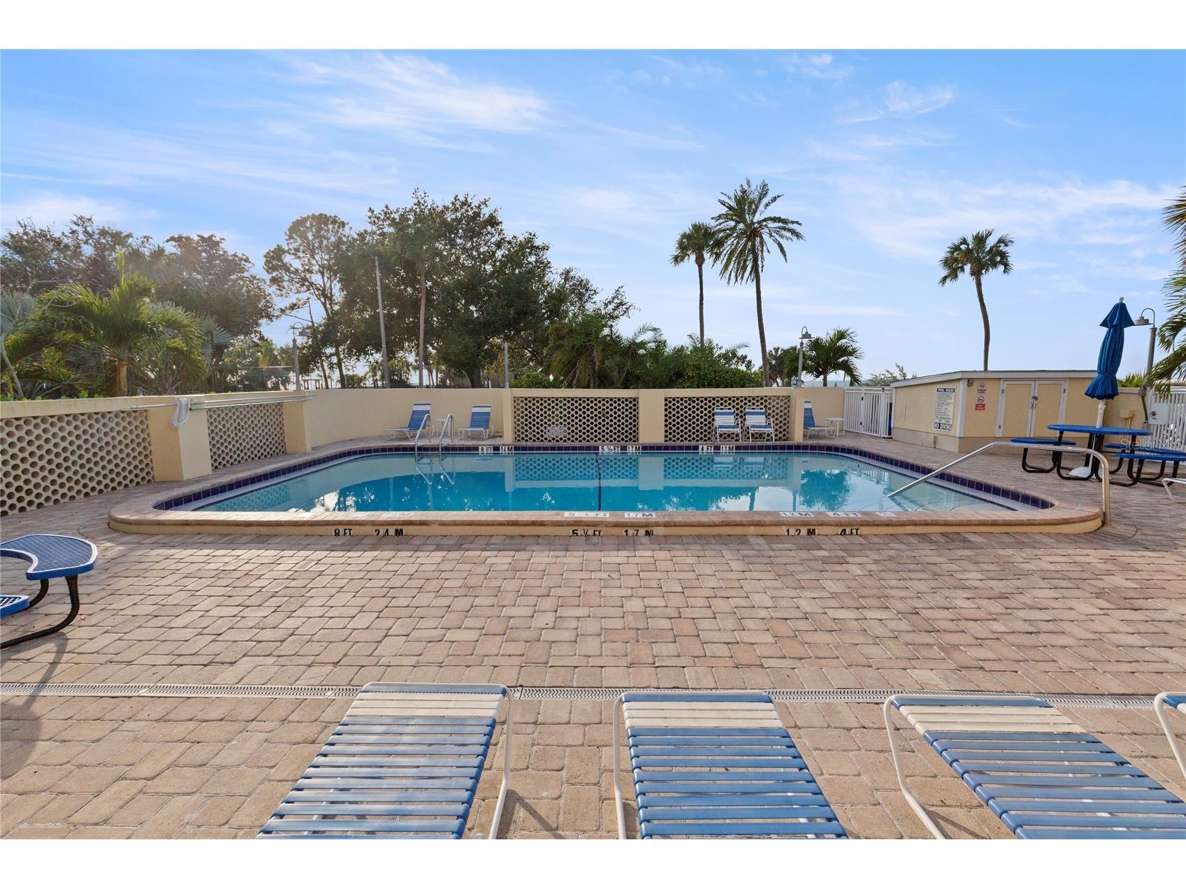 611 Destiny Drive #410 Ruskin FL 33570 TB8496506 image28