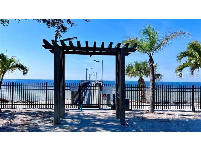 611 Destiny Drive #410 Ruskin FL 33570 TB8496506 image73