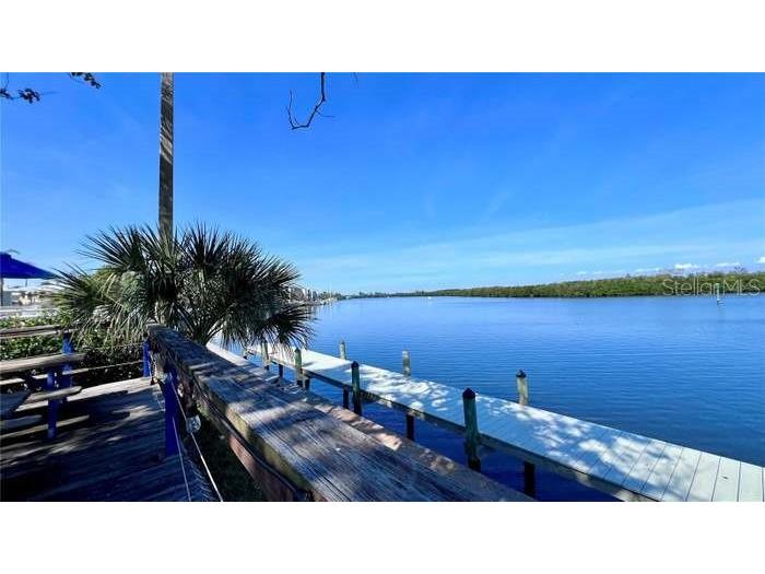 611 Destiny Drive #410 Ruskin FL 33570 TB8496506 image85