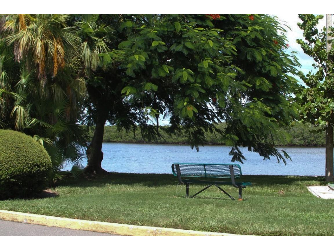 611 Destiny Drive #501 Ruskin FL 33570 TB8438567 image4