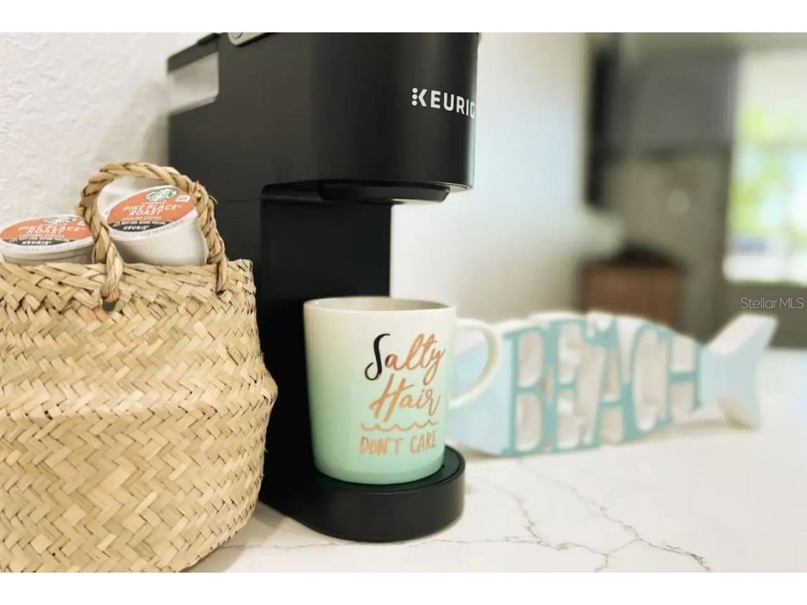 611 Destiny Drive #516 Ruskin FL 33570 TB8446796 image14