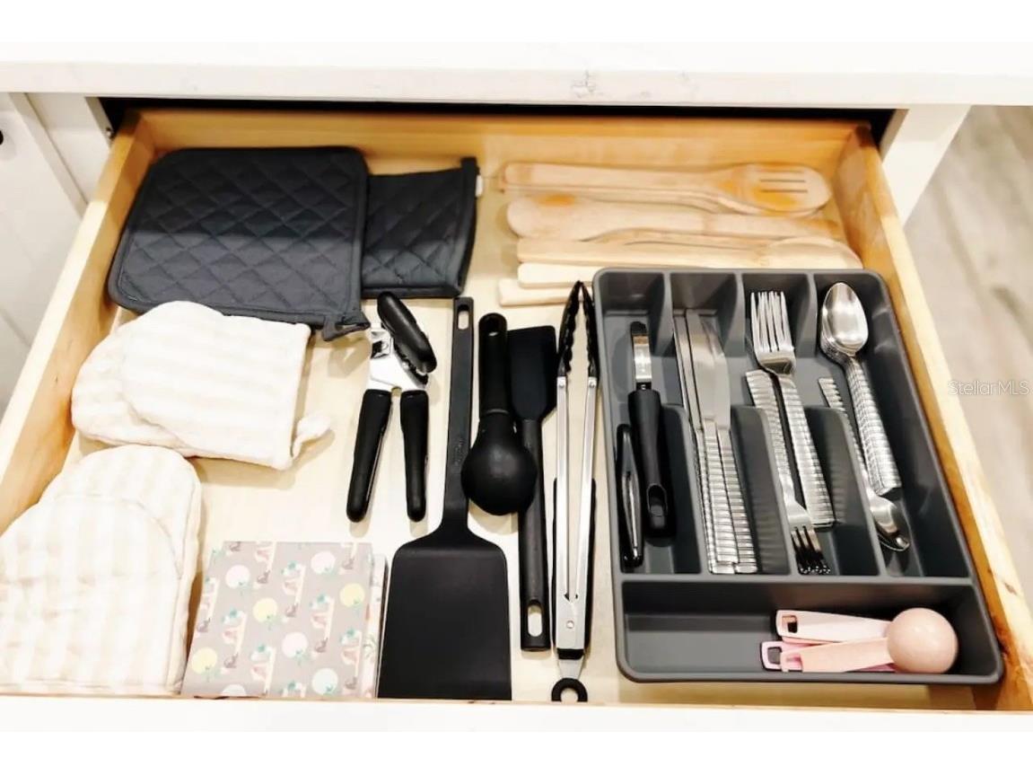 611 Destiny Drive #516 Ruskin FL 33570 TB8446796 image16